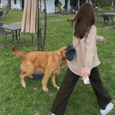 情在不言中